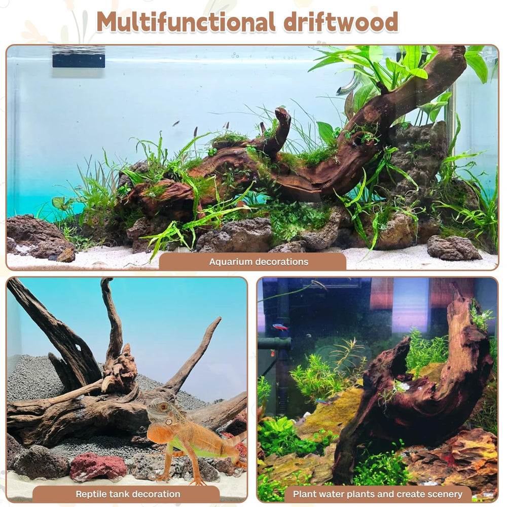 PINVNBY driftwood bearded dragon habitat showcases durable natural decor.