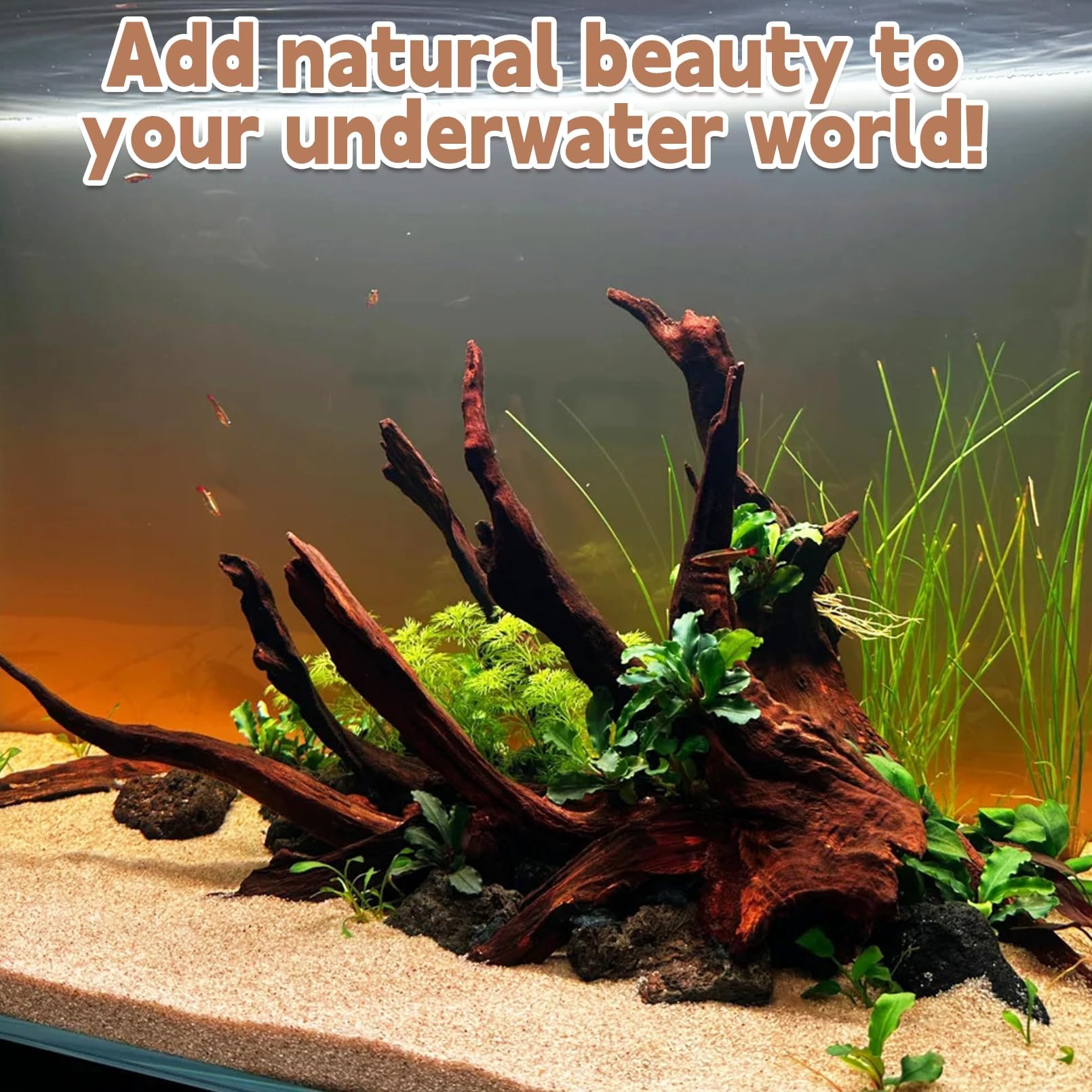 PINVNBY driftwood moss tree idea for aquarium landscapes.