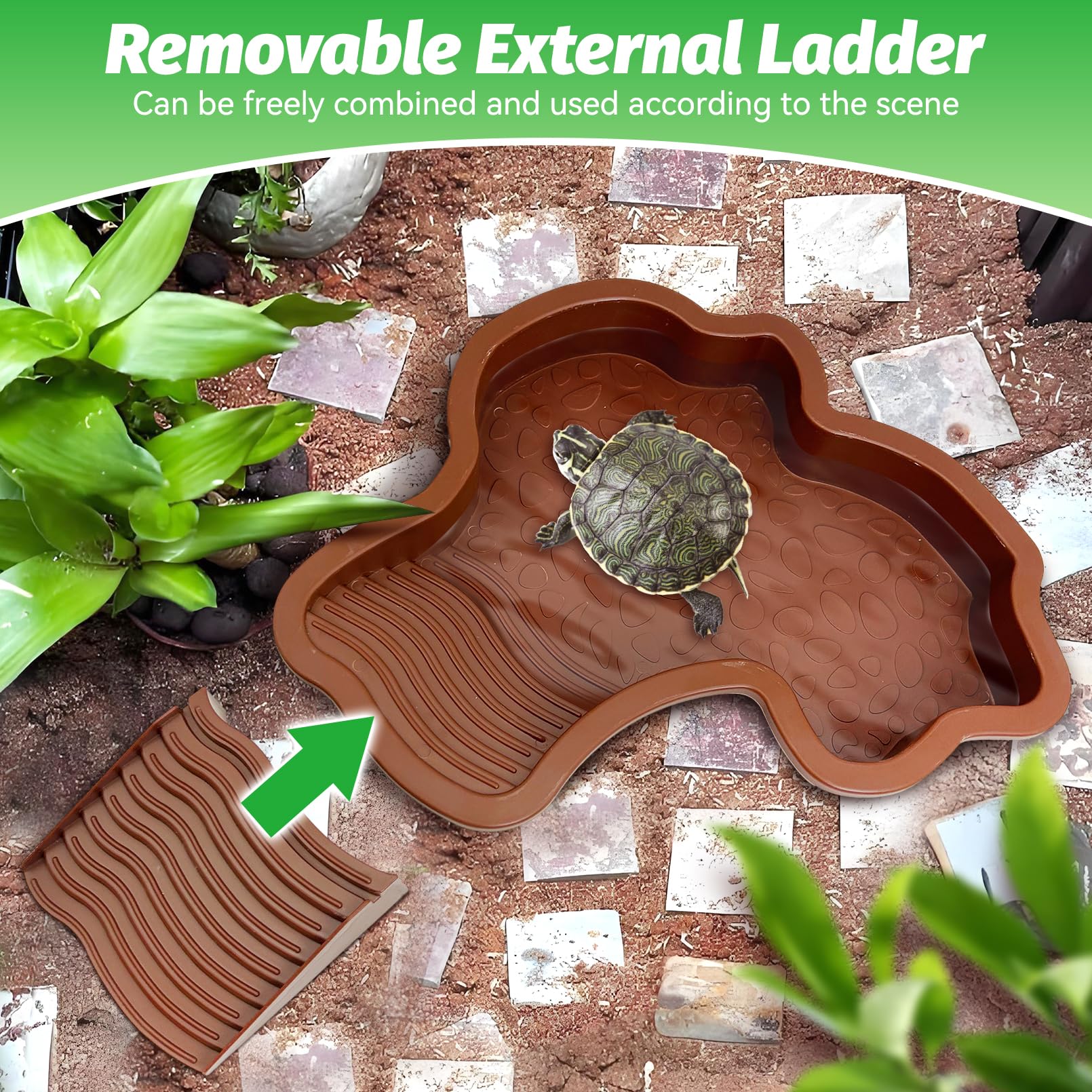 PINVNBY small leaf dish facilitates feeding for smaller reptiles.