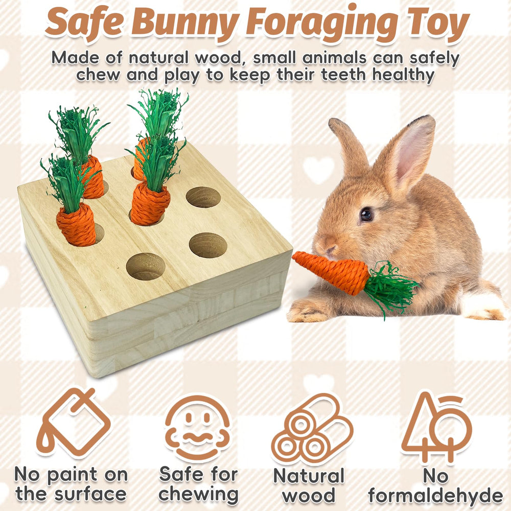 PINVNBY guinea-pig-chew-toy-set provides safe gnawing on durable wood.