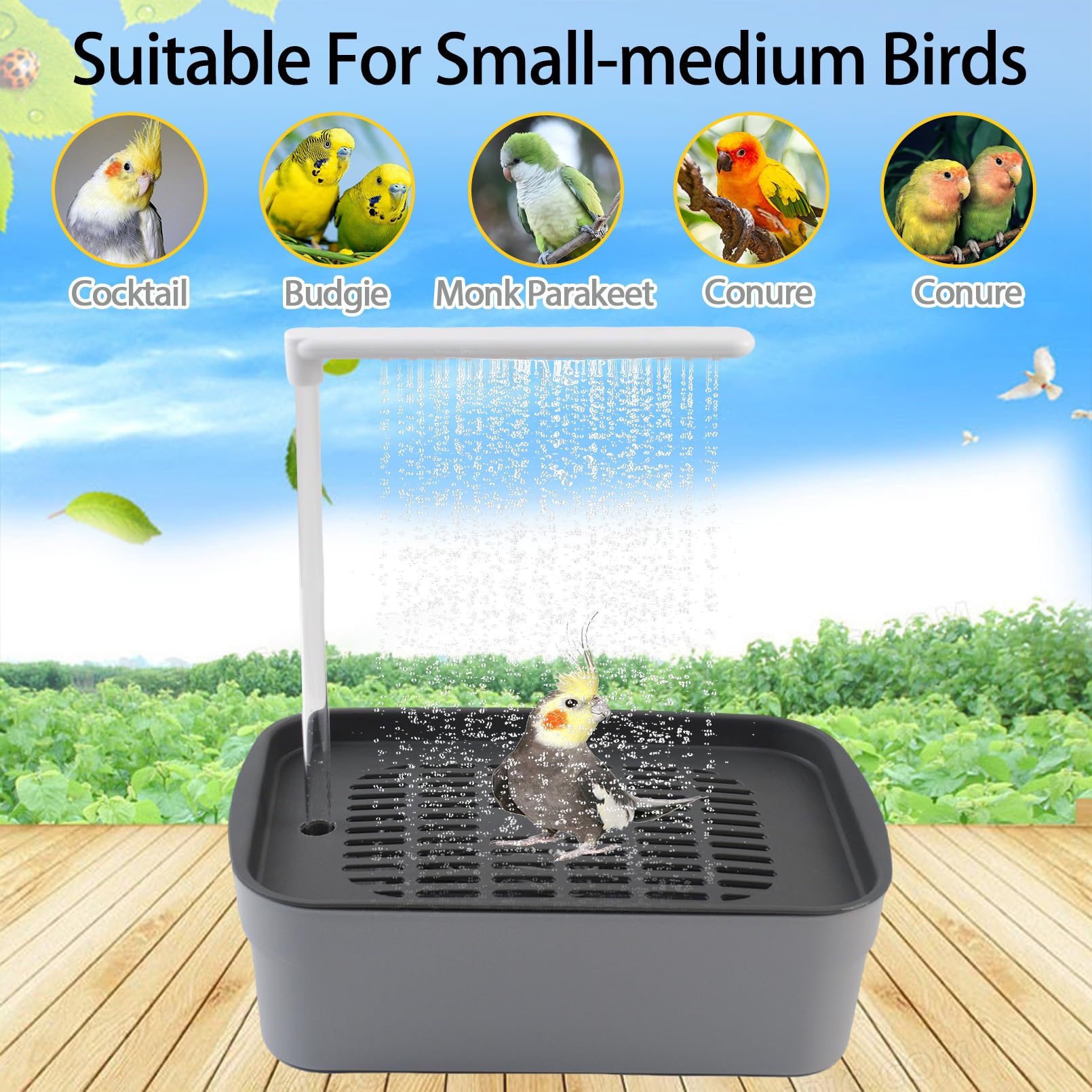 PINVNBY-large-bird-bath-dimensions indicate roomy space for parrot and conure baths.