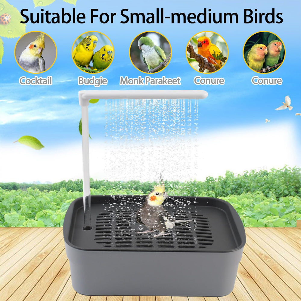 PINVNBY-large-bird-bath-dimensions indicate roomy space for parrot and conure baths.