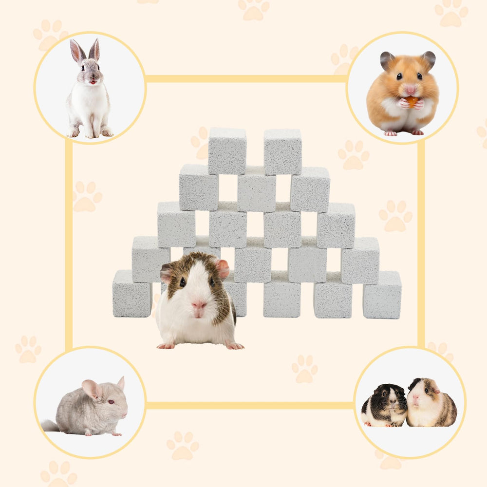 PINVNBY lava blocks in cage-enrichment for rodents.