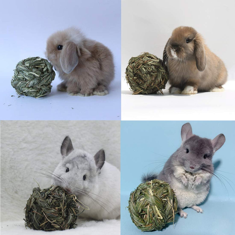 PINVNBY natural biodegradable toy highlights eco-friendly appeal.