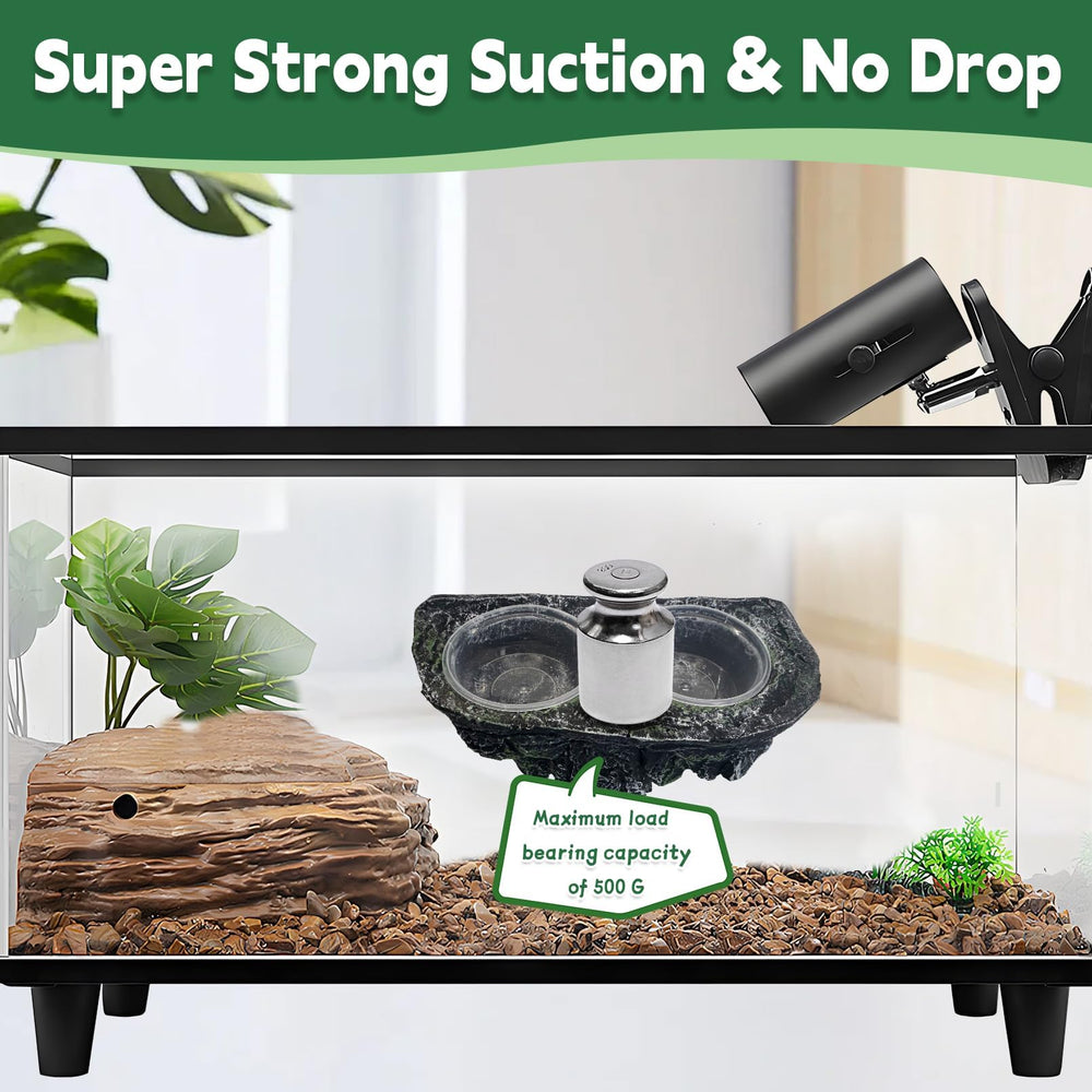 PINVNBY natural-looking reptile feeder adds aesthetic and function in terrarium