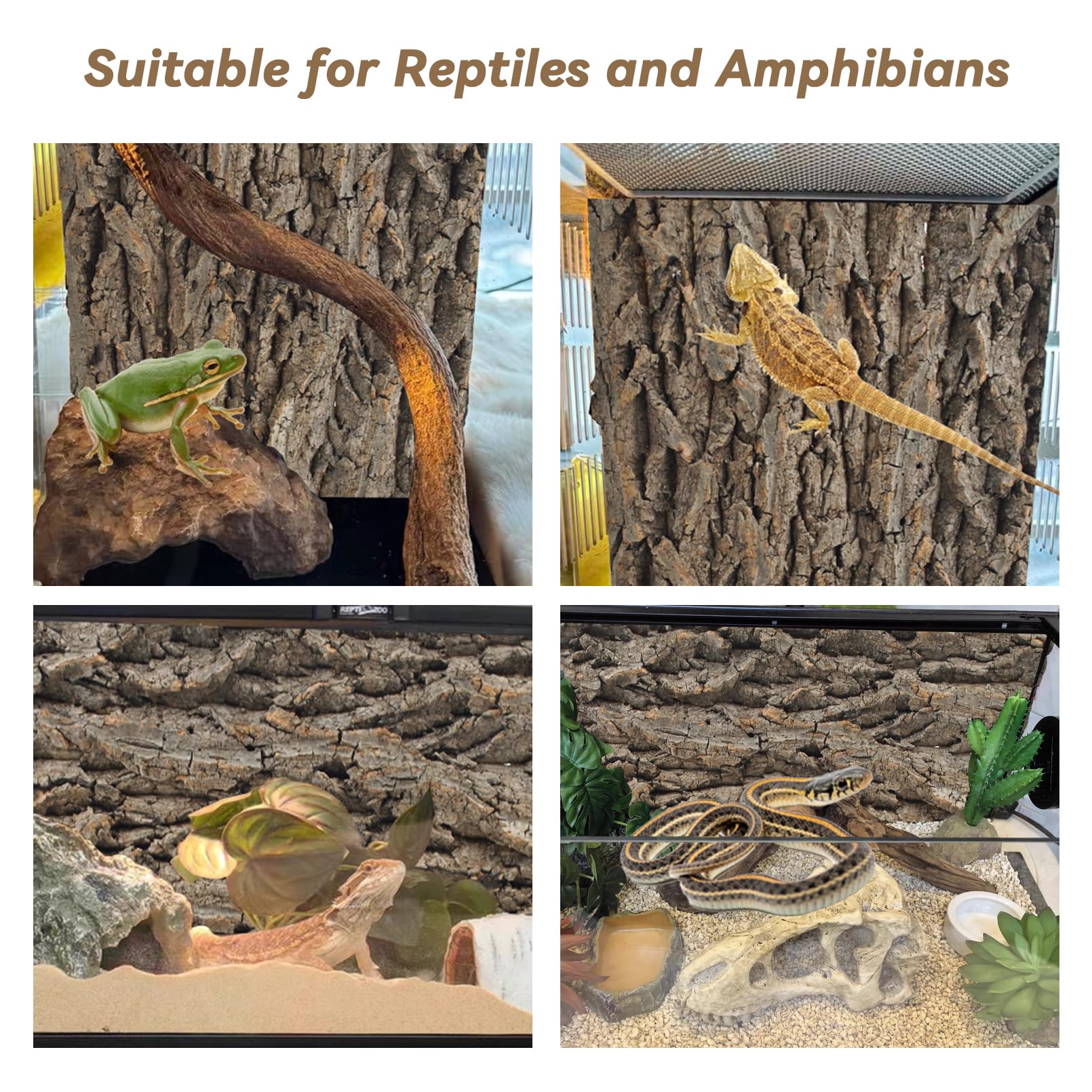 PINVNBY terrarium decor cork backdrop adds natural beauty and habitat realism.