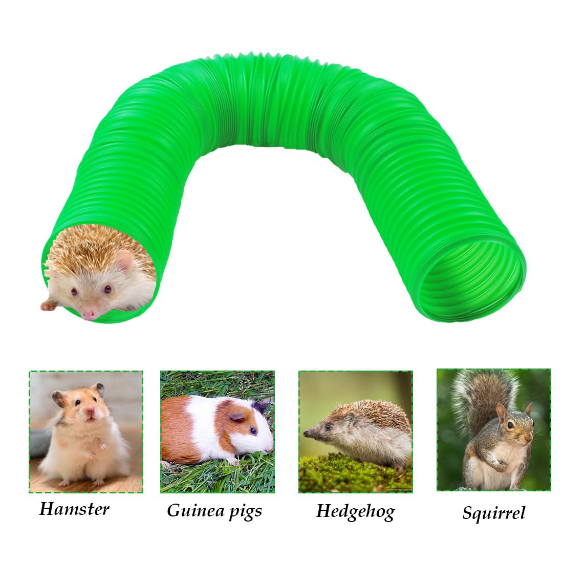 PINVNBY 2-tunnels with 19-pcs kit - comprehensive setup for cages.
