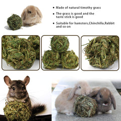 PINVNBY rabbit chew ball toss play demonstrates interactive chewing and engagement.
