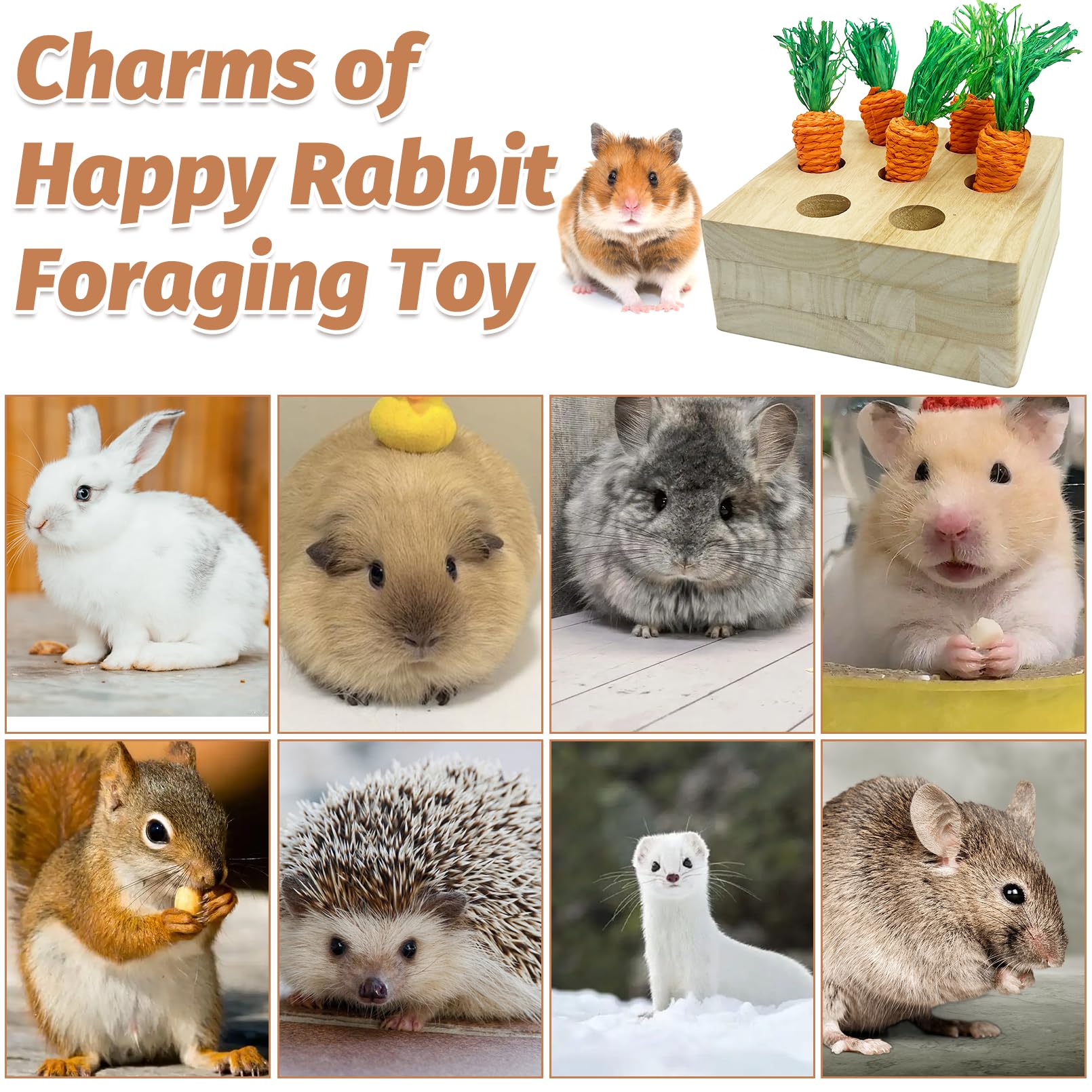 PINVNBY rat-chinchilla-activity-toy promotes enrichment and curiosity for small mammals.
