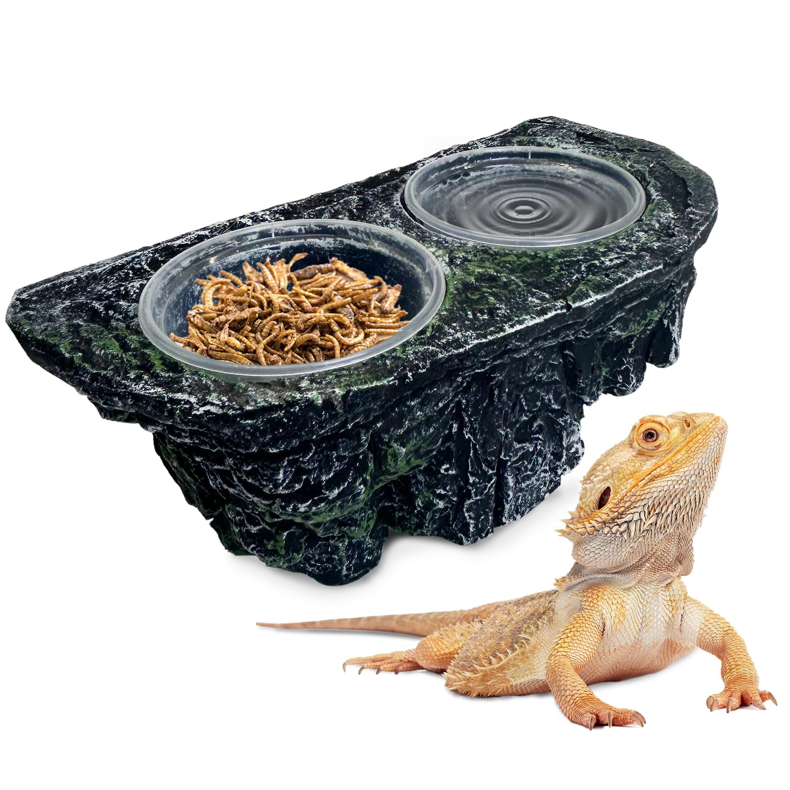 PINVNBY reptile feeding ledge with double bowls for stable meals and water