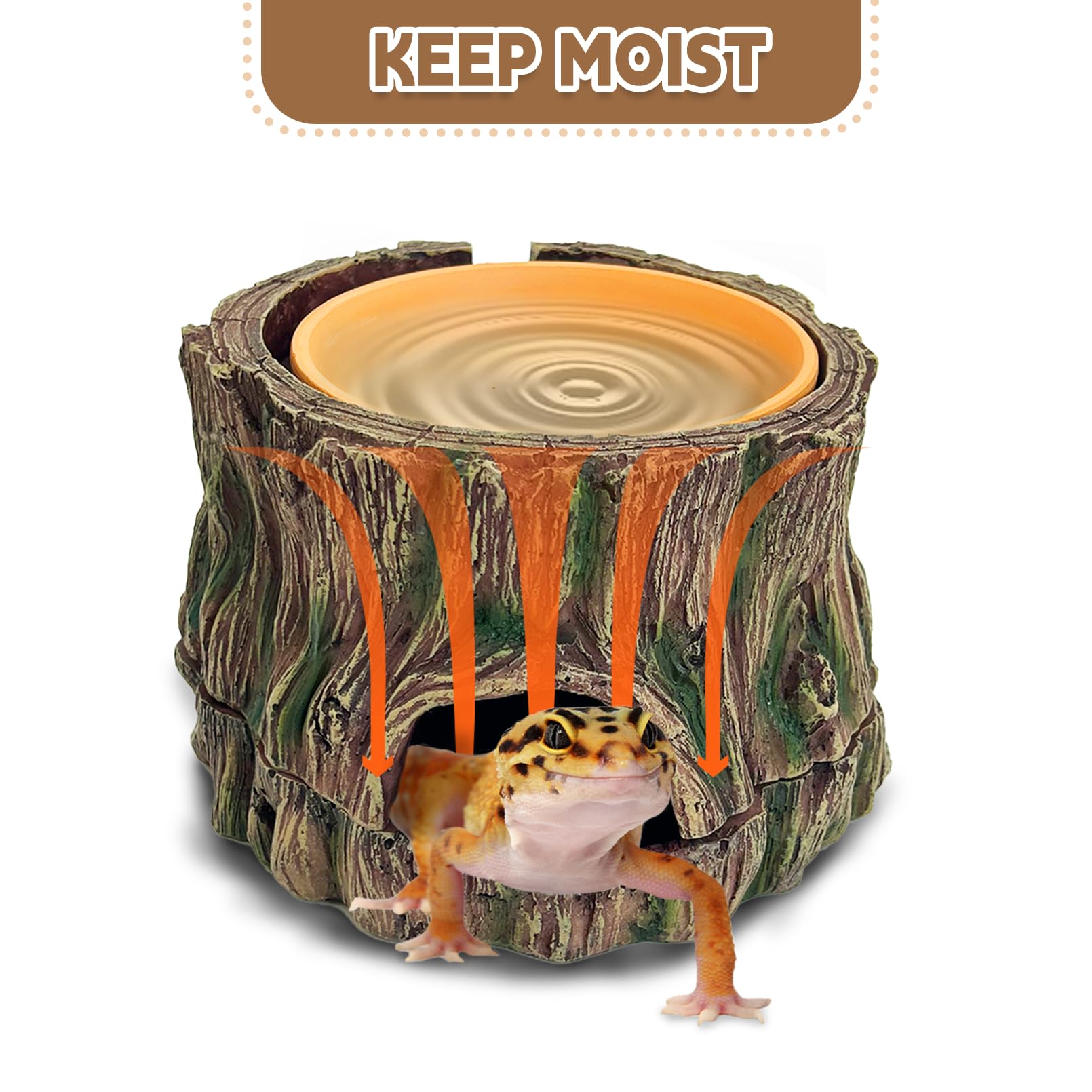 PINVNBY reptile habitat decor with removable design simplifies cleaning and maintenance.