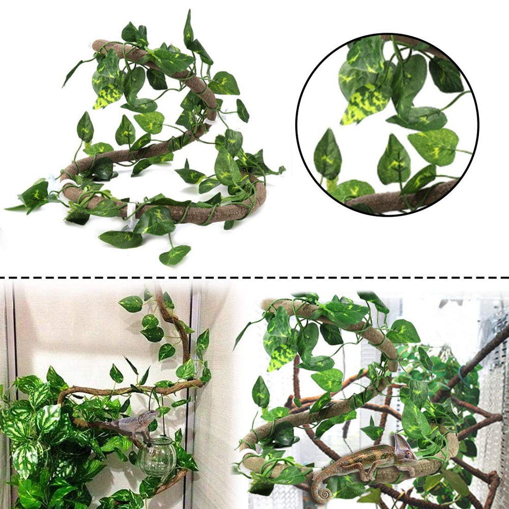 PINVNBY reptile habitat enrichment encourages climbing, hiding, and exploration.