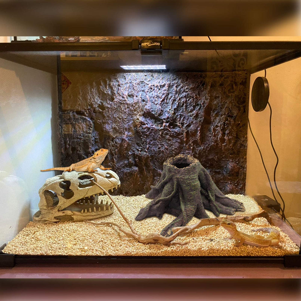 PINVNBY reptile vine plants offer climbing surfaces with adjustable layout for exploration.