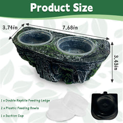 PINVNBY suction cups mount securely to terrarium walls for safe feeding