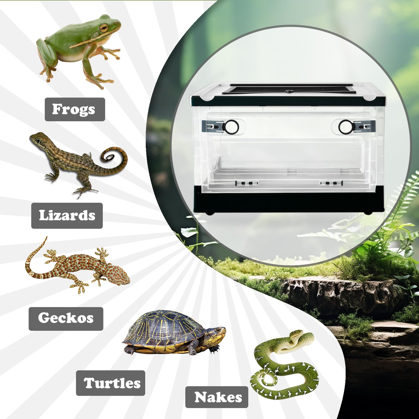 PINVNBY plastic reptile feeding box feeding-port illustrating convenient feeding access from above
