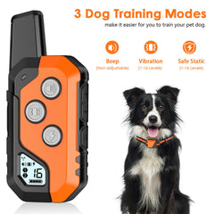 PIOUNS IP67 waterproof receiver for all-weather training