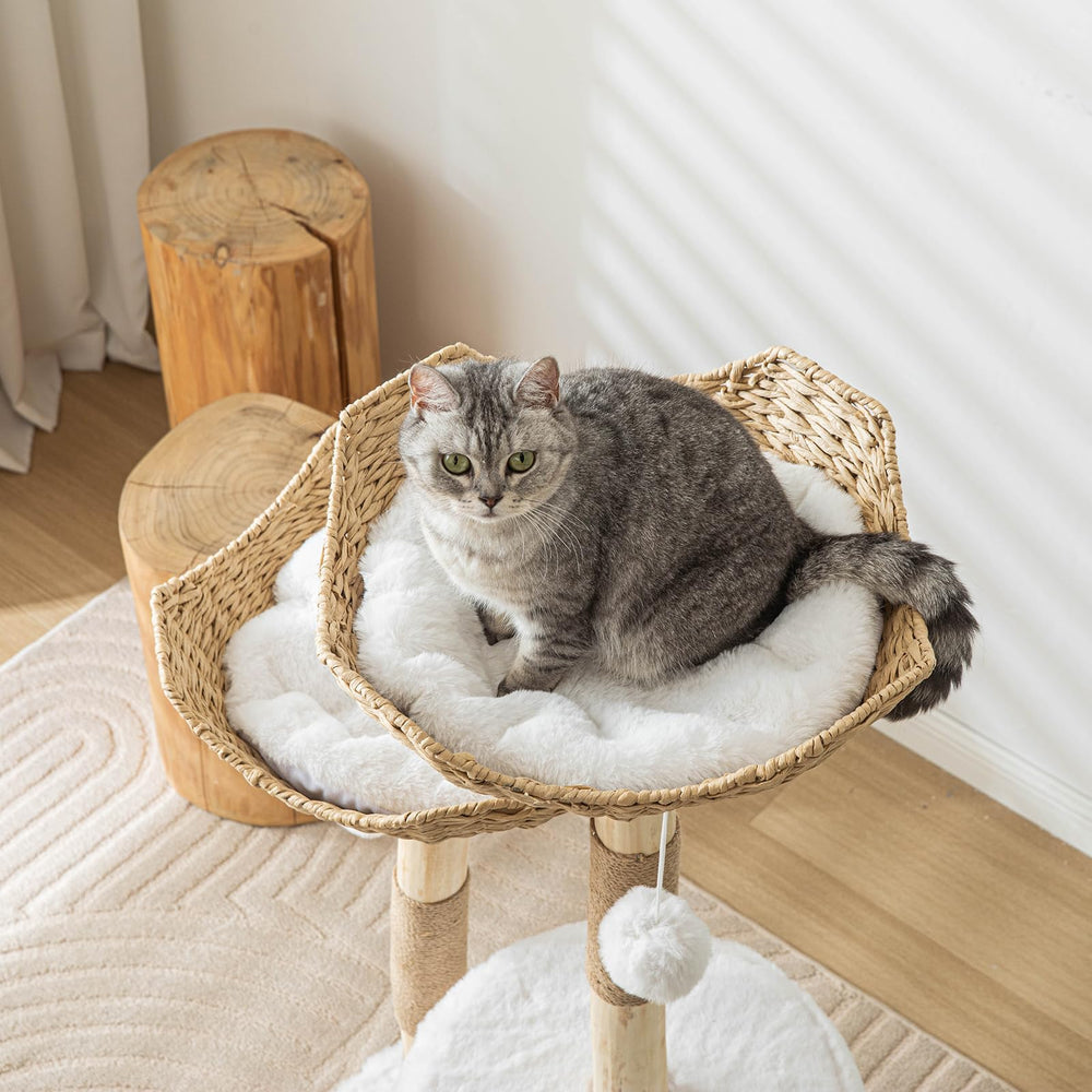 PISARRY wooden cat tree with sisal posts promotes scratching and exercise