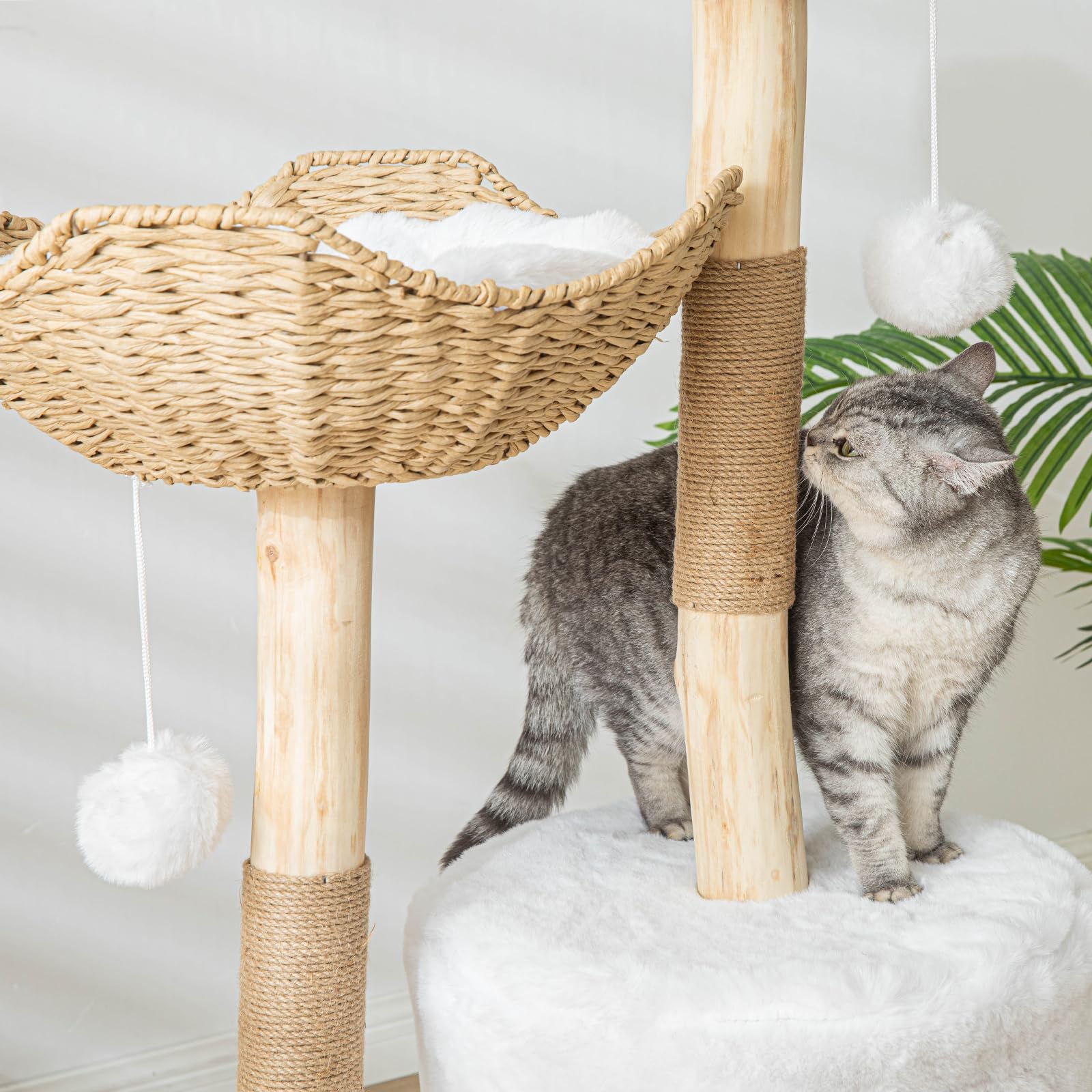 PISARRY luxury cat condo with perches supports multi-cat play and rest