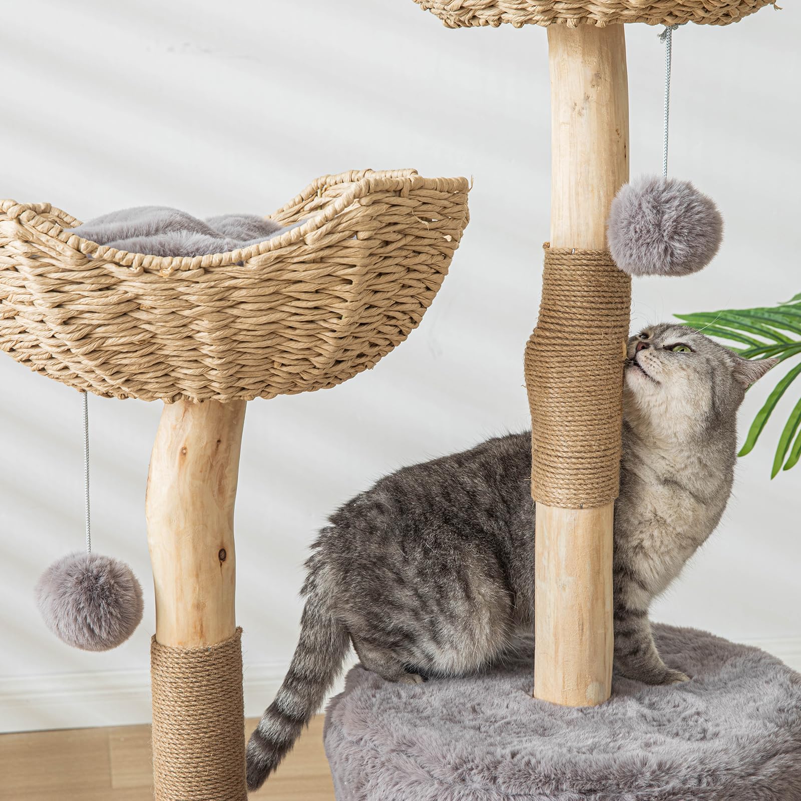 PISARRY floral perches offer multi-level resting and observation space.