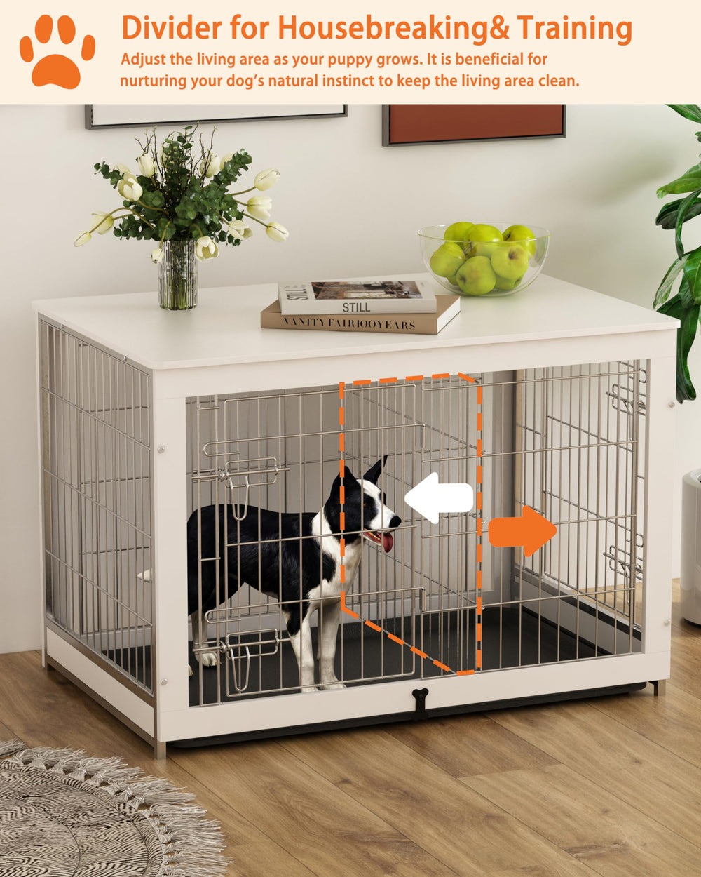 Piskyet double doors kennel interior offers private space and calm retreat