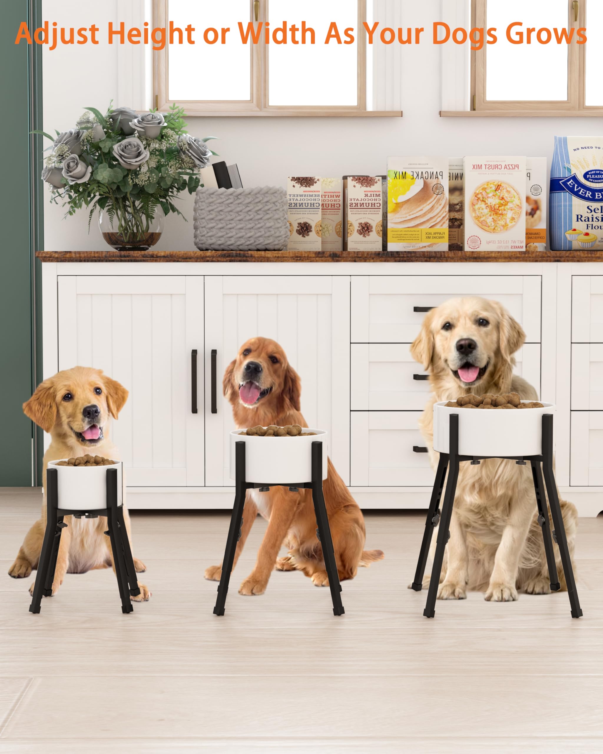 Piskyet raised dog bowl stand center-disc balances bowls to reduce spills