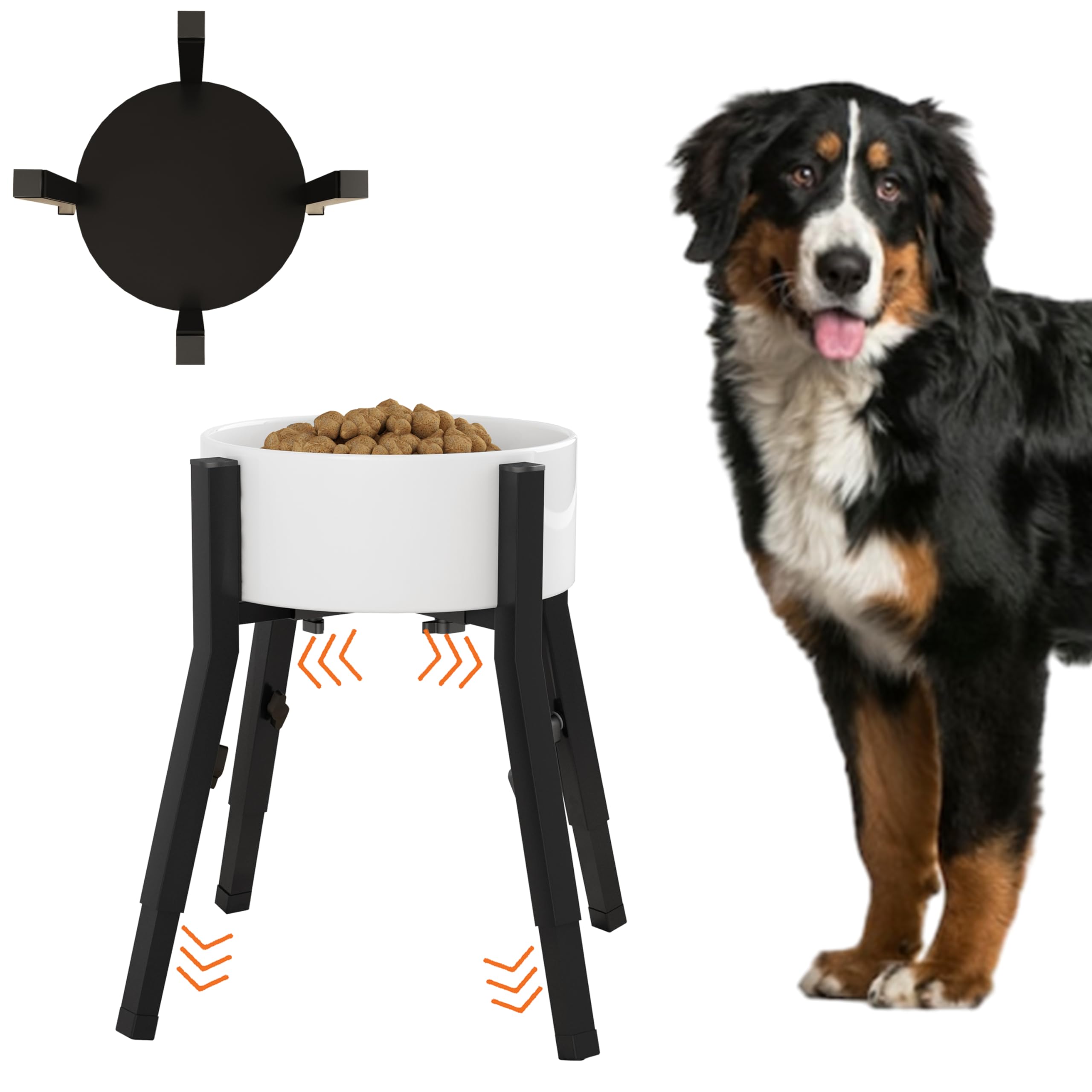 Piskyet raised dog bowl stand front view shows stable design for large dogs during meals