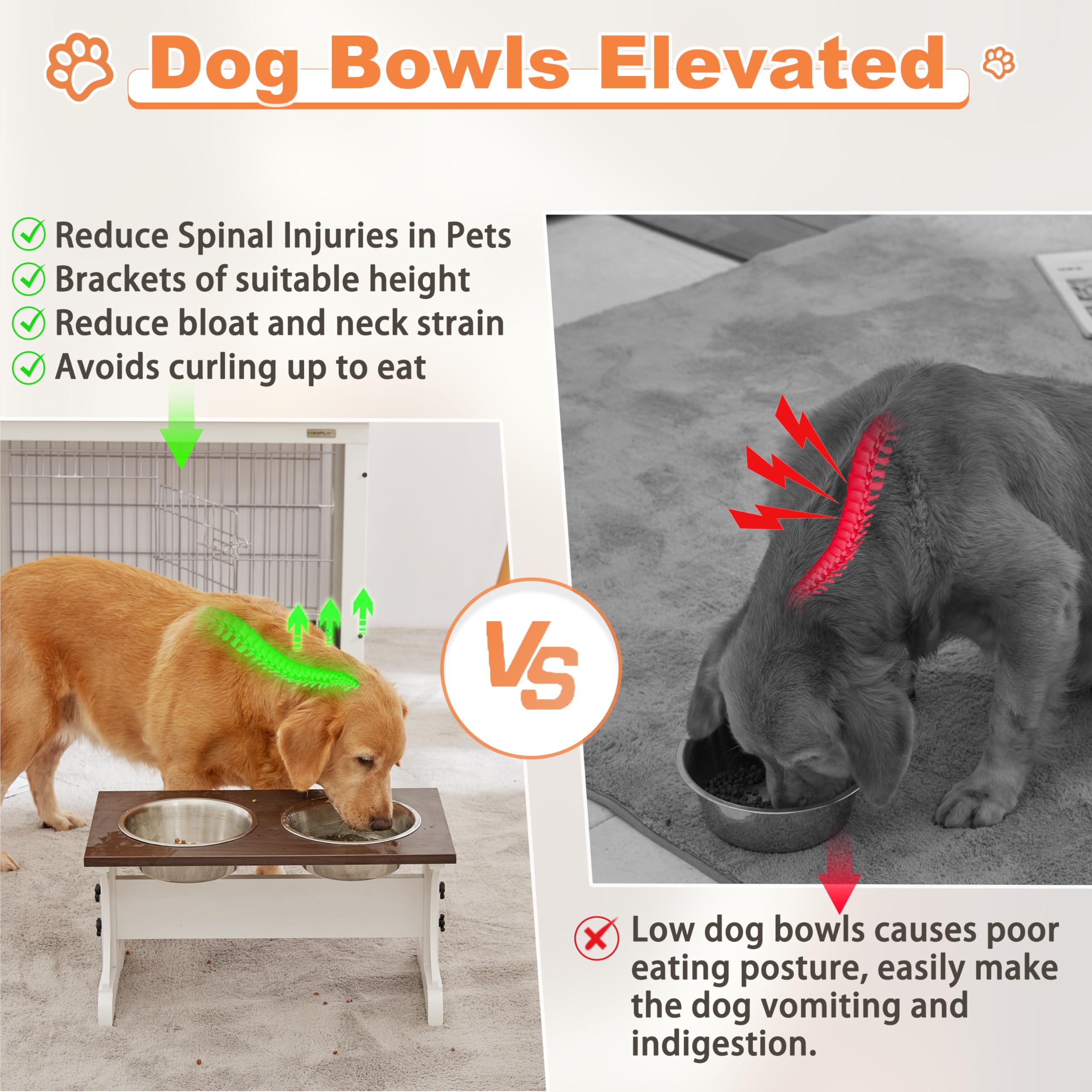 Piskyet raised bowls reduce neck strain and promote proper posture during meals.