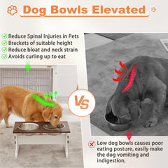 Piskyet raised bowls reduce neck strain and promote proper posture during meals.