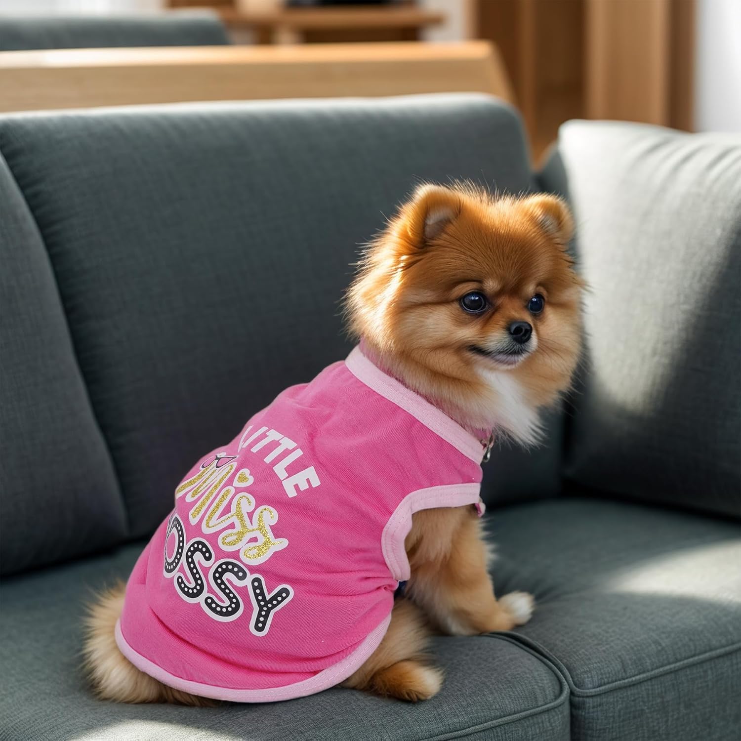 Pistha dog shirts summer printed gray back promotes easy movement and style