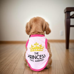 Pistha heart-design closeup on dog shirt adds cute charm for pets