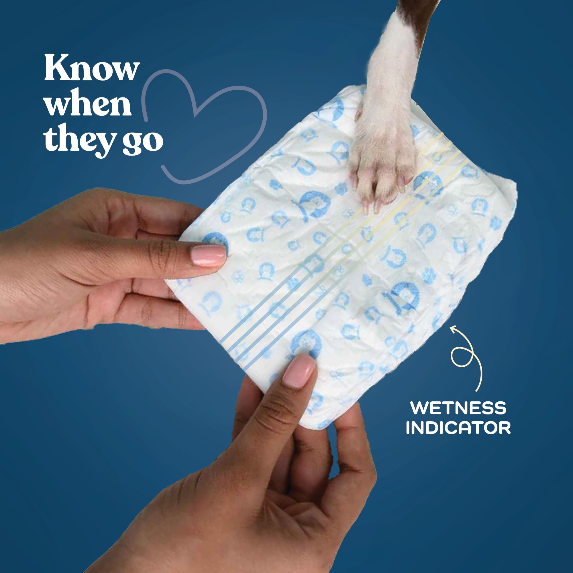 PitPet diaper's breathable outer layer keeps fur clean and cool
