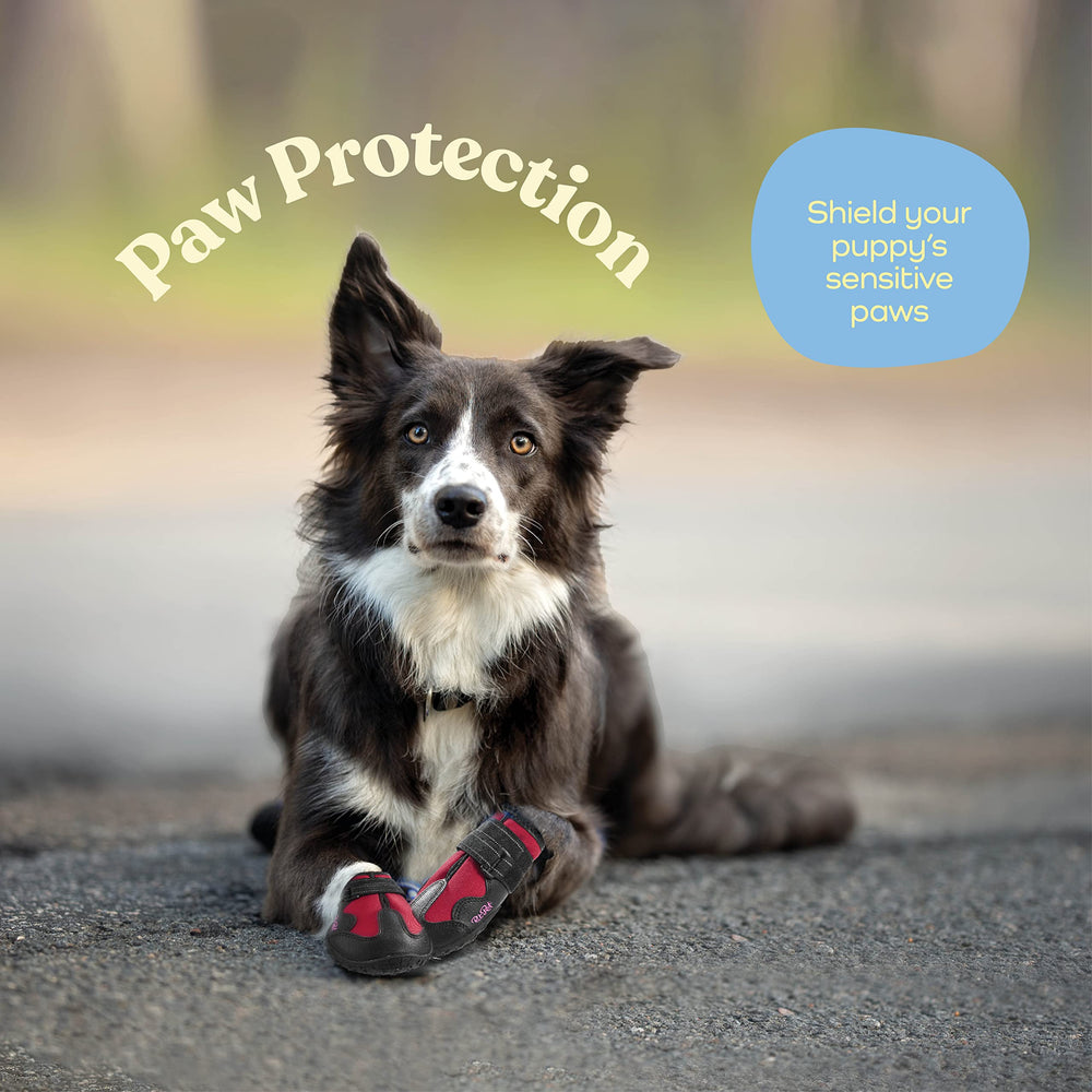 Pitpet dog boots with anti-slip rugged soles improve stability during outdoor adventures