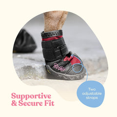 Pitpet dog shoes with reflective straps boost visibility for safer evening walks