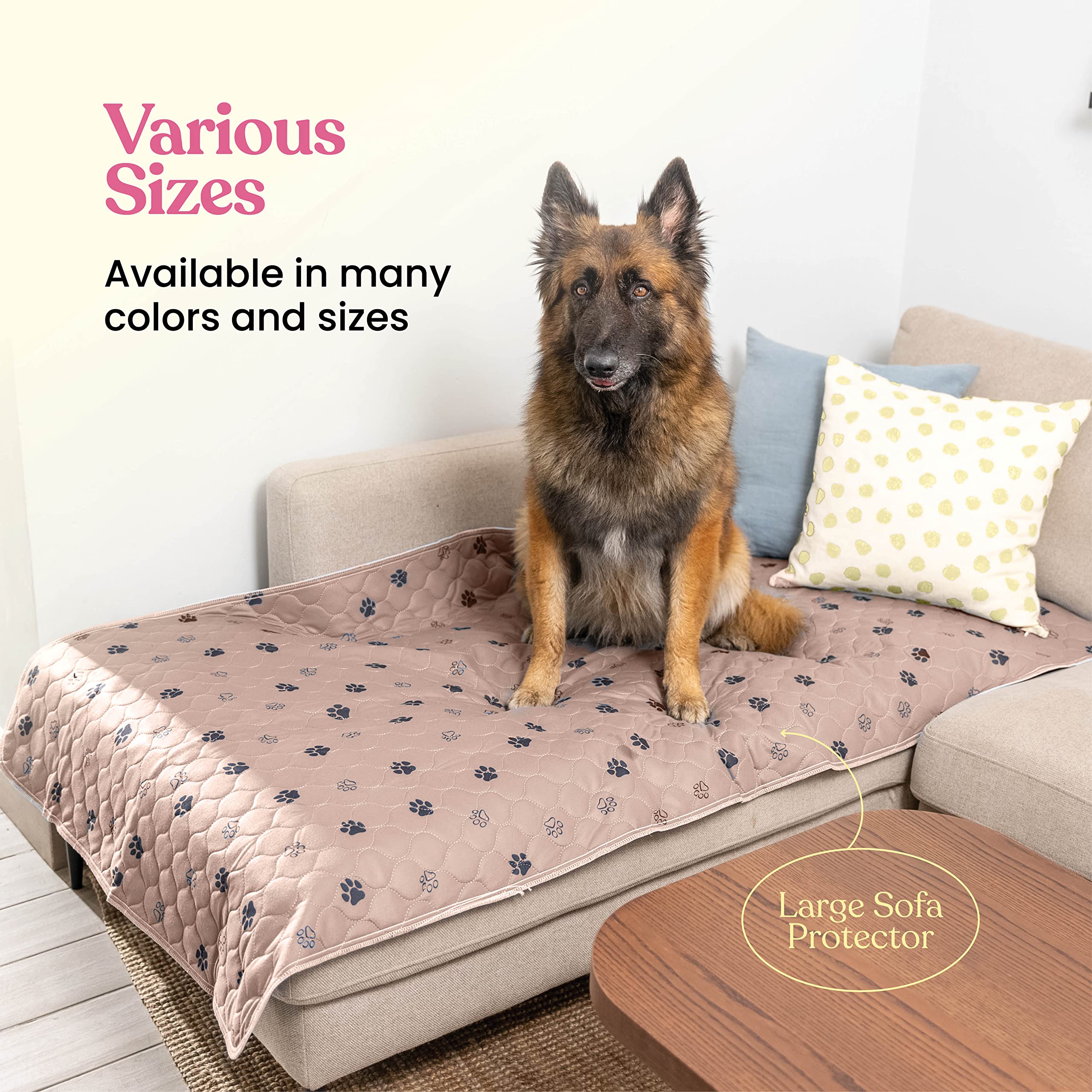 Pitpet dog snuggle use case image suggesting cozy spots during training