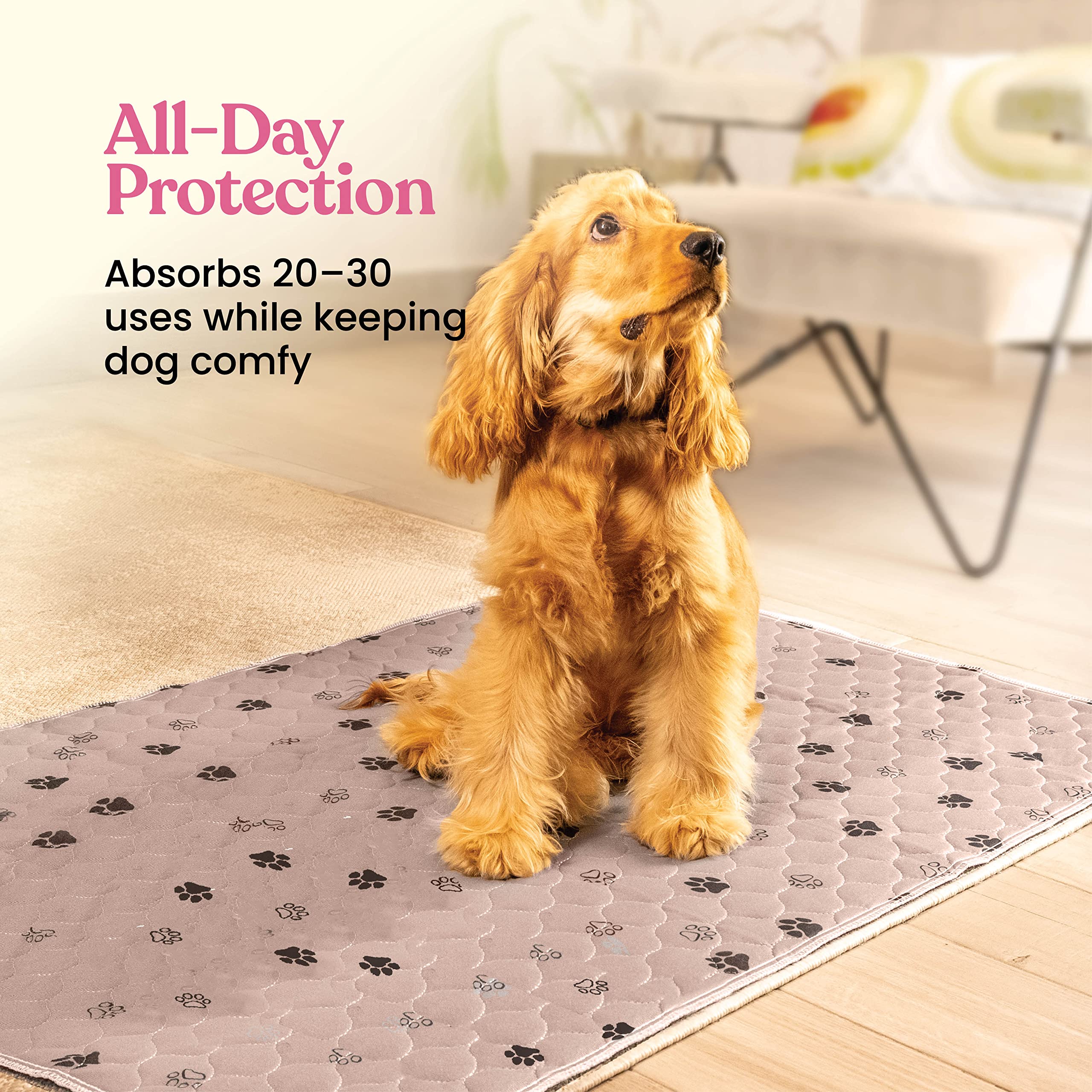 Pitpet flash dry technology image demonstrates instant drying and odor reduction