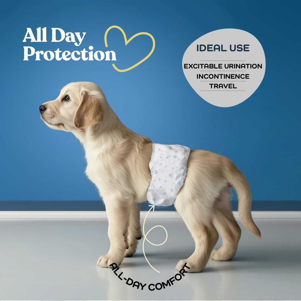 PitPet male dog diaper wetness indicator for timely changes