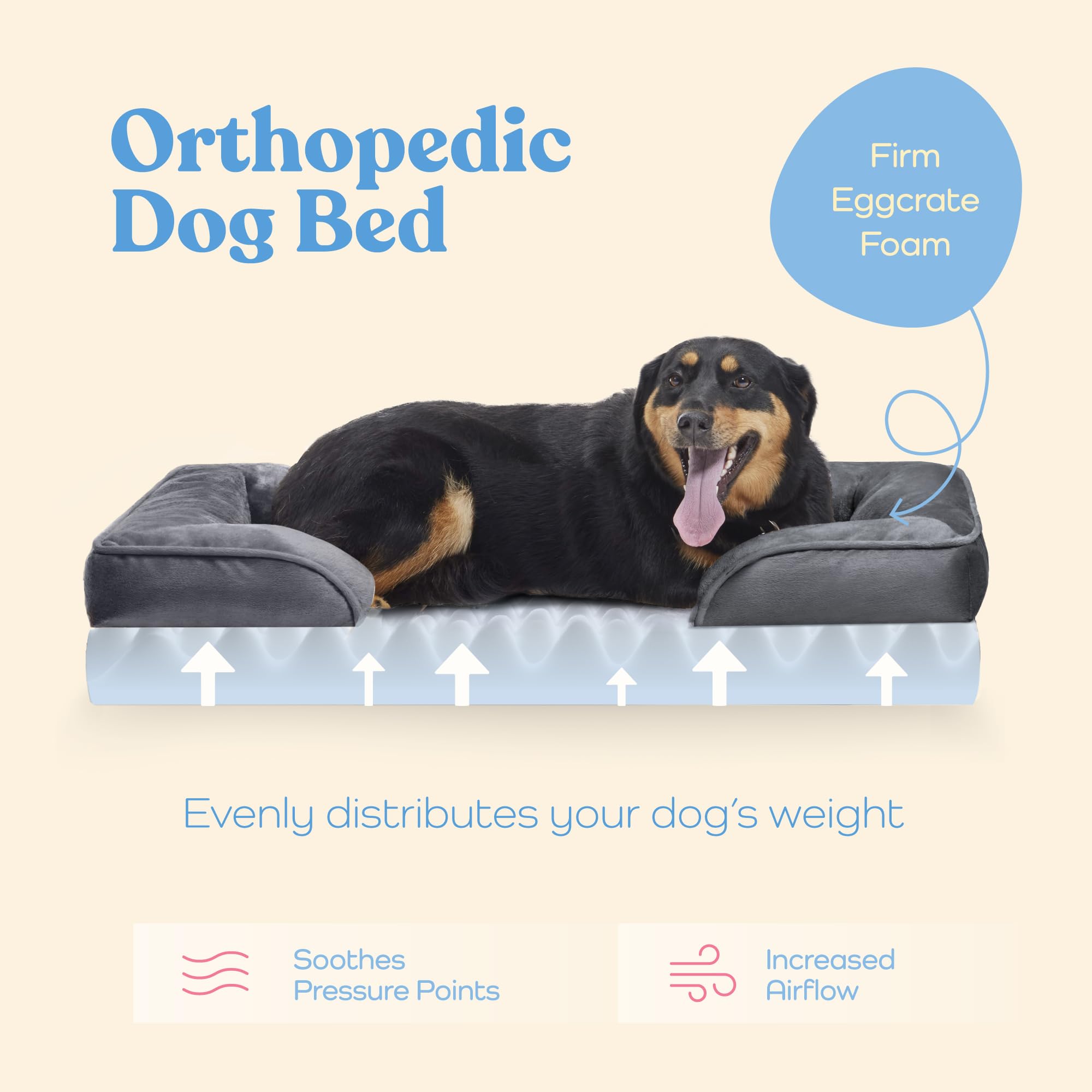 Pitpet Orthopedic Sofa Bed foam eggcrate close-up demonstrates even weight distribution