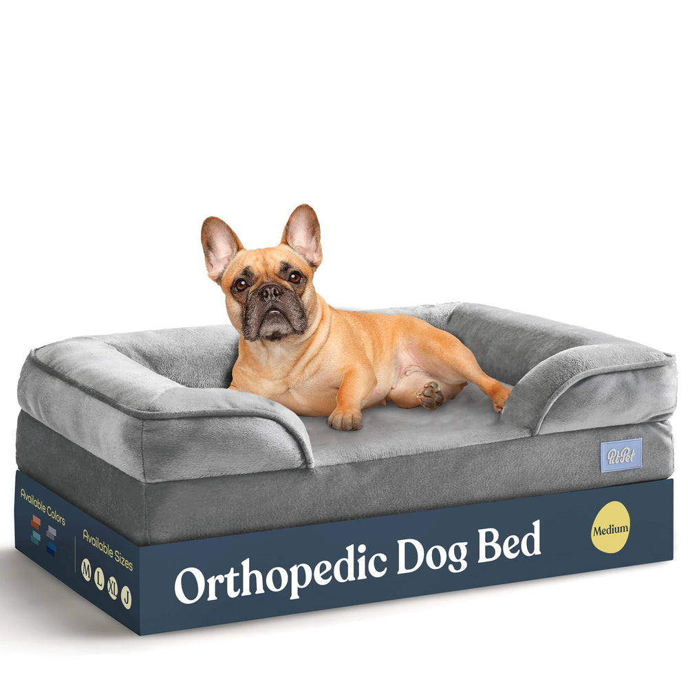 Pitpet Orthopedic Sofa Bed front view highlights supportive design and plush comfort