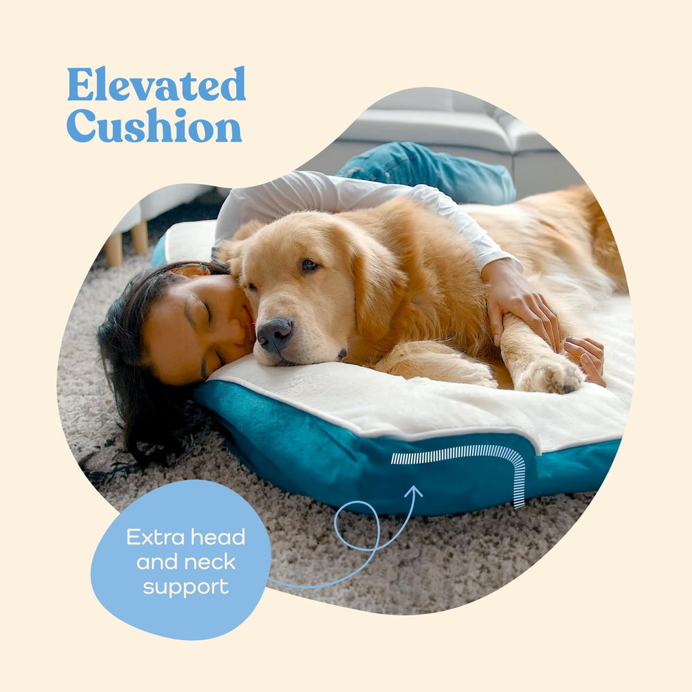 Pitpet Orthopedic Sofa Bed removable cover illustrates easy machine-wash care