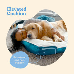 Pitpet Orthopedic Sofa Bed removable cover illustrates easy machine-wash care