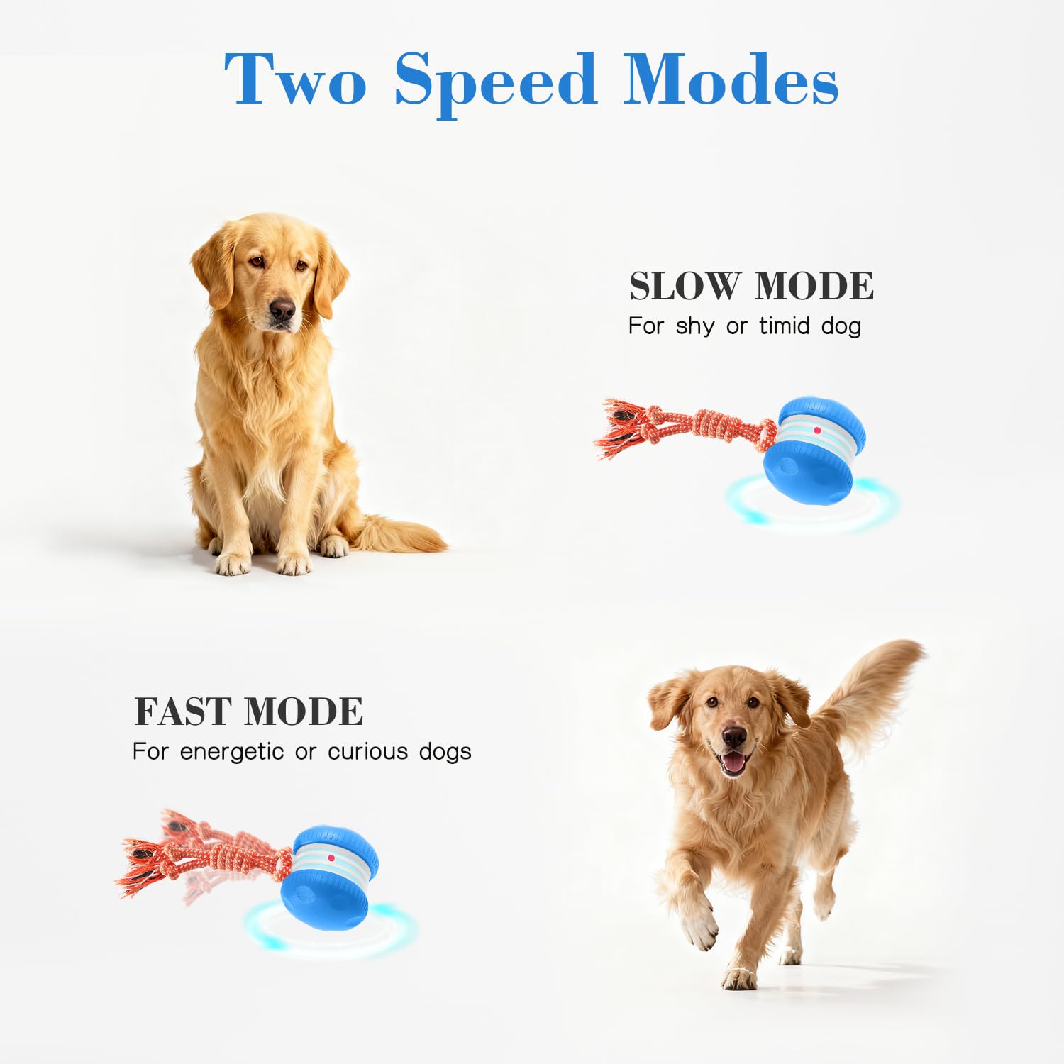 PJC Interactive Dog Toy dual-speed mode adapts to a dog's energy