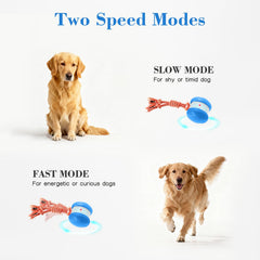 PJC Interactive Dog Toy dual-speed mode adapts to a dog's energy