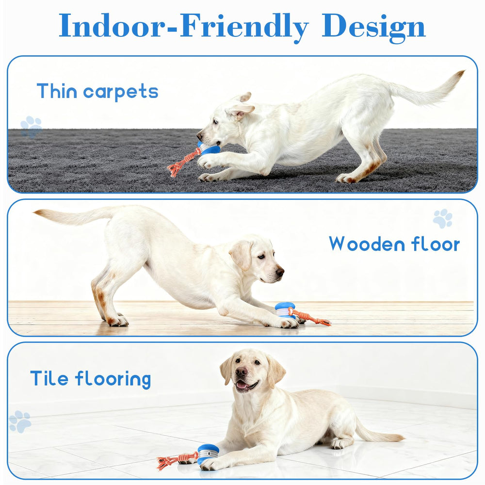 PJC Interactive Dog Toy type-C charging provides easy, long-lasting power
