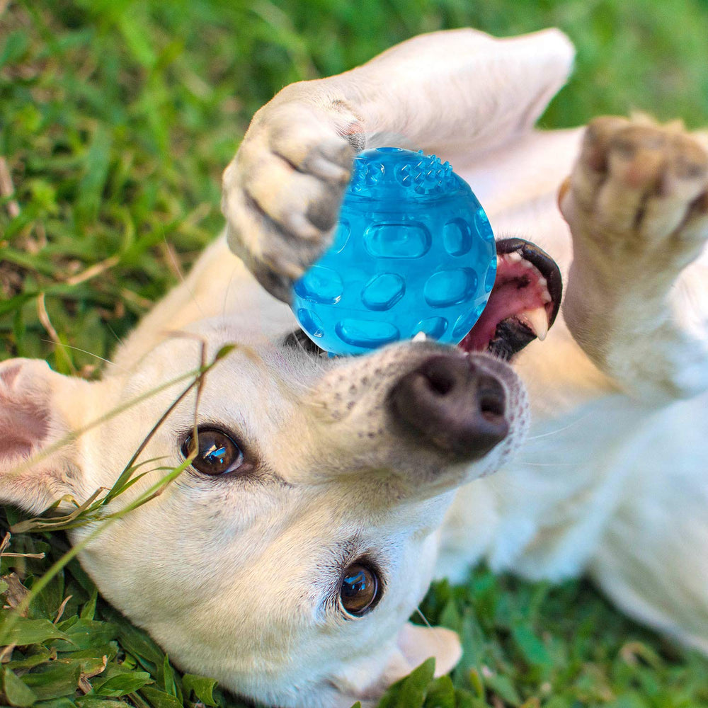 Bola PJDH 3 pulgadas duradera para perros activos.