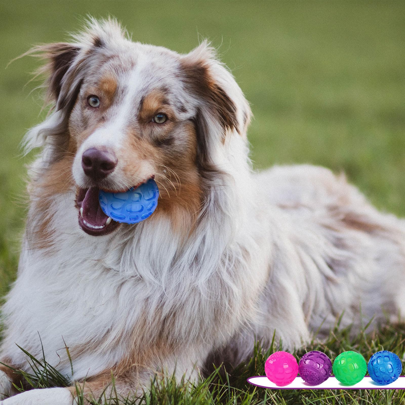 PJDH bright multi-color 3-pack—high visibility during lively playtime.