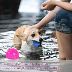 PJDH durable rubber ball close-up—thick 0.3 inch design resists chewing.