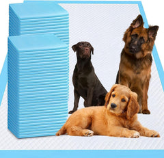 PJYRTOQ puppy pads 36x55 packaging shows leak-proof design for flooring protection.