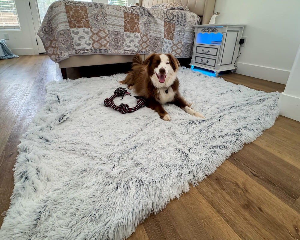 PJYuCien travel-friendly dog blanket fits car seats.