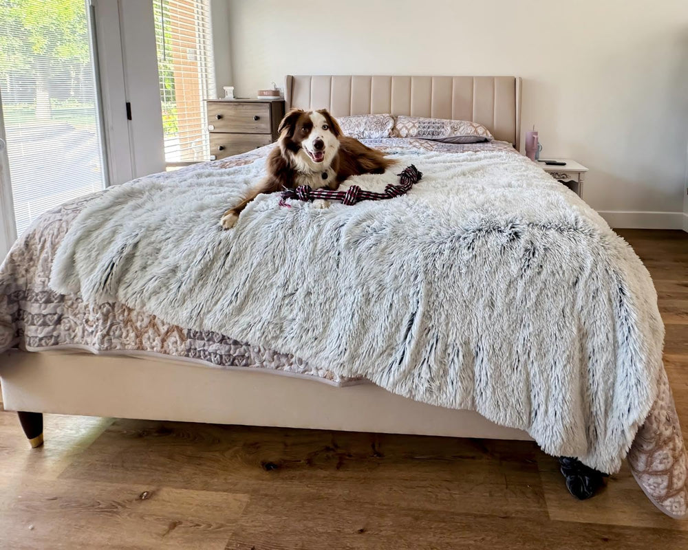 pjyucien large dog blanket 80x60 soft fleece for cozy lounging