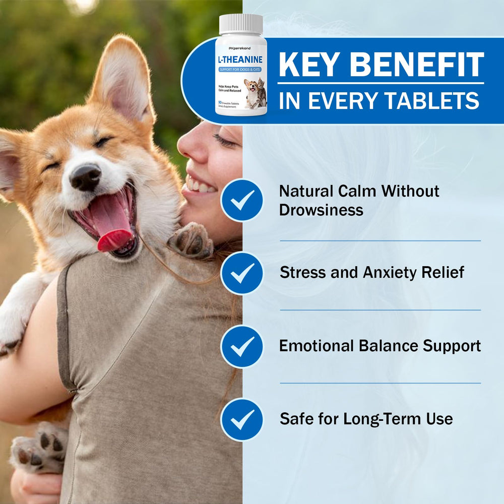 PKperekond L-Theanine calm moment in a relaxed dog or cat, supporting emotional balance.